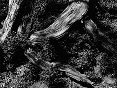 Sticks_and_stones_8