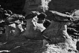 Sentinals_2