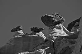 Sentinals_3