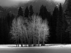 Ahwahnee_meadow