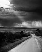 The_road_to_cortez