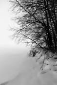 By_the_lake