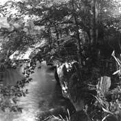 Conasage_creek