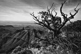 On_the_south_rim