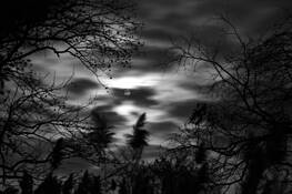 Moonlight_serenity_8