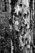 Untitled_11
