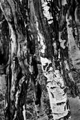 Untitled_2