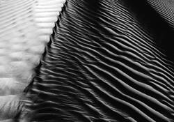 Dune__1