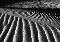 Dune__11
