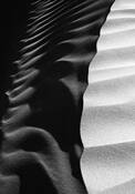 Dune__7