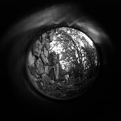 Gretel_s_escape