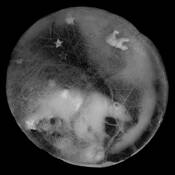 Ursa_major_and_ursa_minor