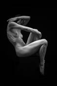 Untitled_11