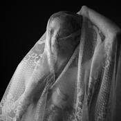 Flamenco_variations_ii