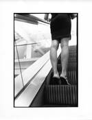 Gams