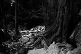 Untitled_1