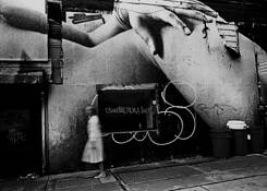 Untitled_12