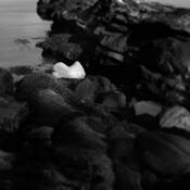 Untitled_2