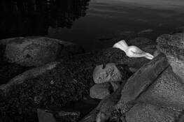 Untitled_3