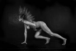 From_the_series_____margarita_s_flight__4