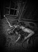 From_the_series___forbidden_dream_1