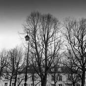 Paris_2008