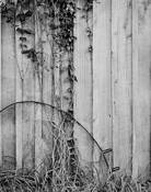 Barn_exterior