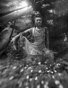 Buddha_woods_10