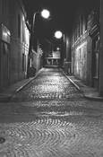 Walnut_alley