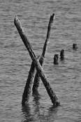 Old_pier_10