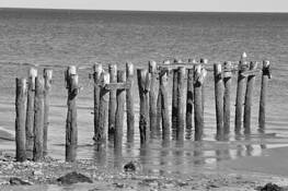Old_pier_3