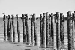 Old_pier_5