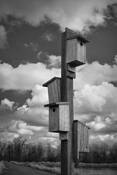 Untitled_4