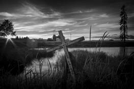 Untitled_8