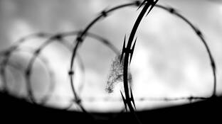 Razor_wire