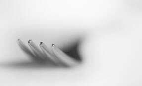 Fork