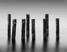 Six_nests