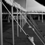 Festival_nocturne