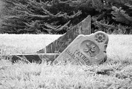 Father_charles