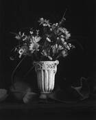 Flower_vase