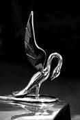 Swan_hood_ornment