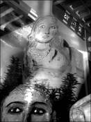 Faces_in_windows__12