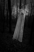 Untitled_7