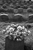 Sorrow