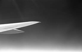 Window_seat__8