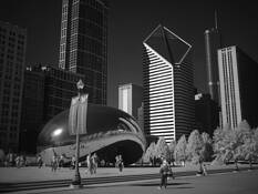The_bean_1