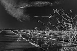 Greenhouse_1