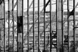 Greenhouse_4