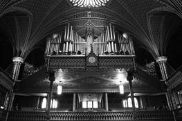 Organ_pipes