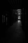 In_shadows_6